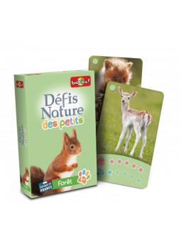 Défis nature des petits Forêt