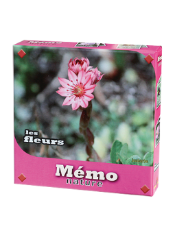 MEMO FLEURS