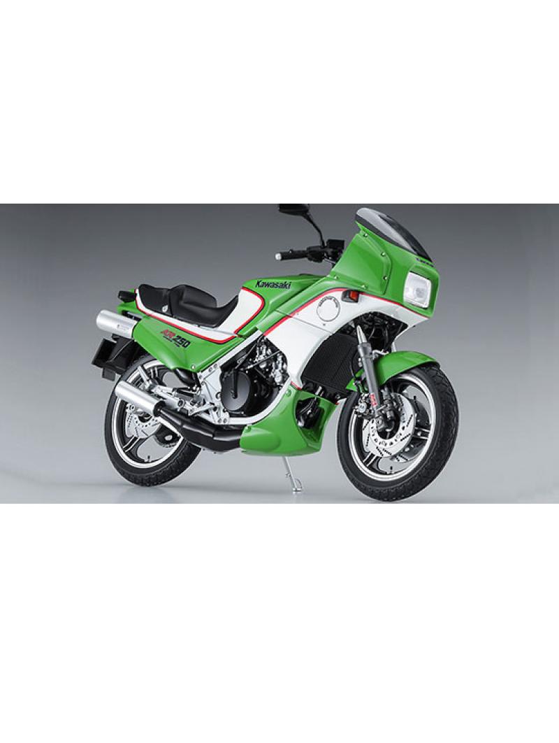 KAWASAKI KR250 (KR250A) 1/12