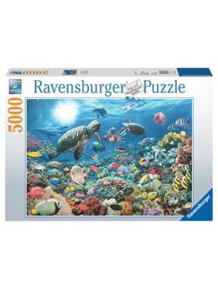 Puzzle 5000p Monde marin